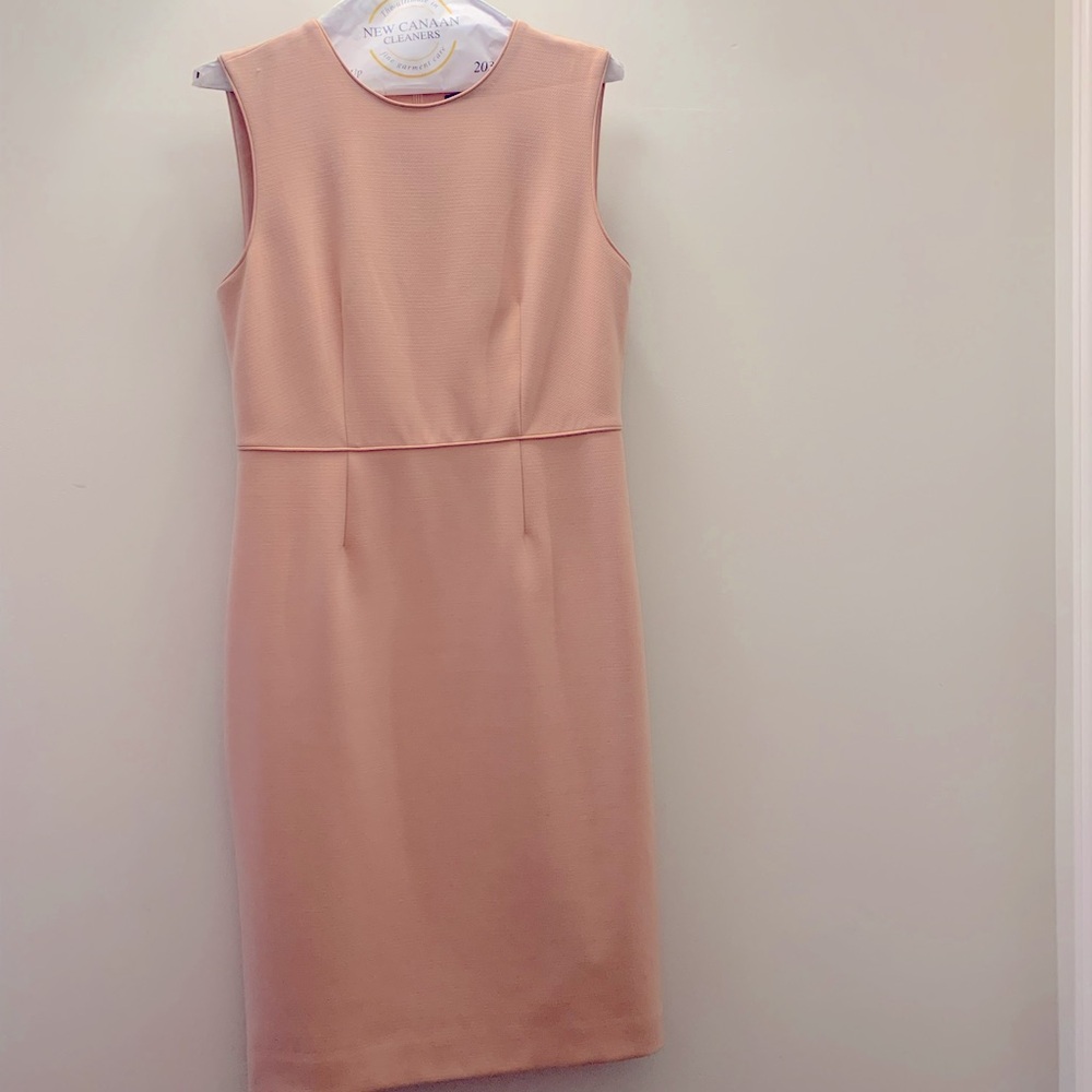 Ann Taylor pale pink knee length pencil dress